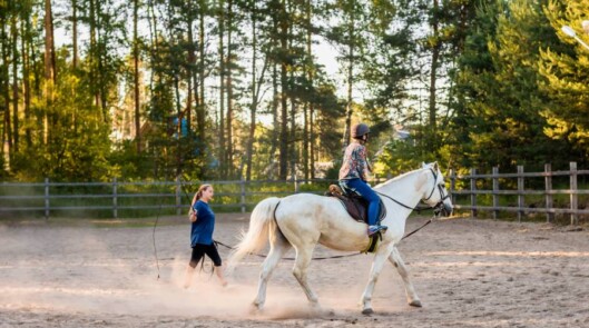 Активный отдых