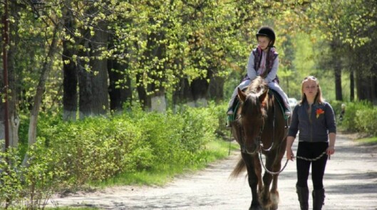 Конные прогулки